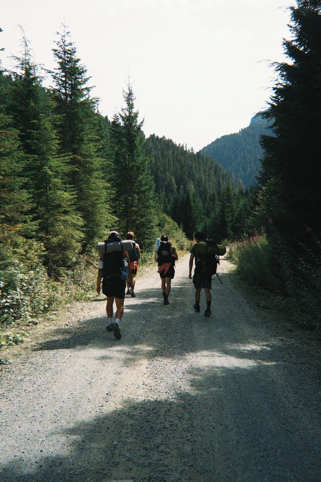Hiking a forest service road with packs